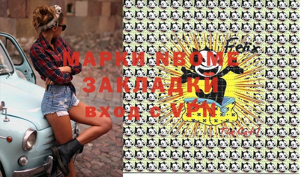 гашик Ветлуга