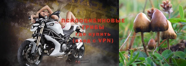 мескалин Осинники