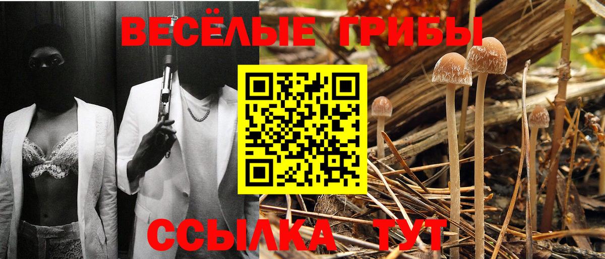 Псилоцибиновые грибы MAGIC MUSHROOMS Алексин