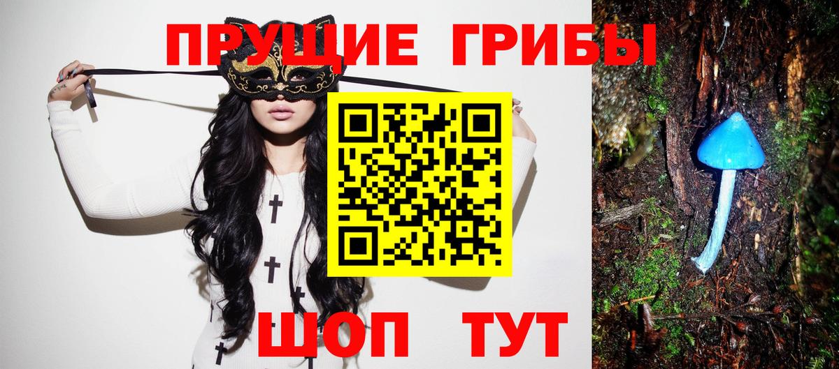 Алексин  Псилоцибиновые грибы Magic Shrooms  Вход с VPN 