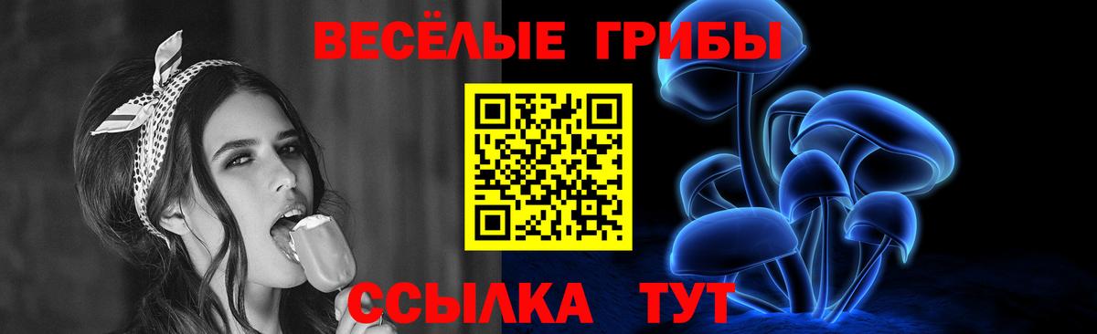 Псилоцибиновые грибы ЛСД  Алексин  хочу   Псилоцибиновые грибы прущие грибы 