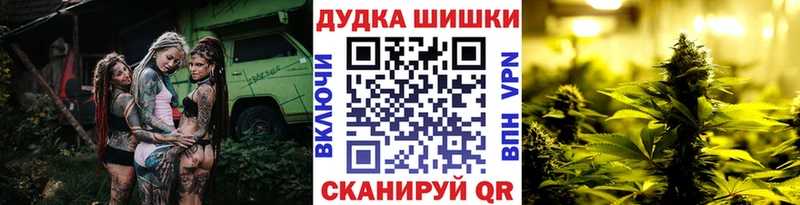 Бошки Шишки гибрид Алексин